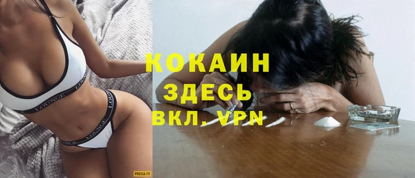 тгк Елизово