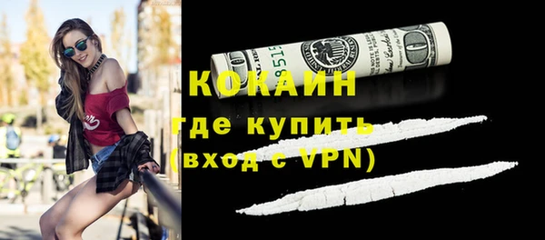 твердый Ельня