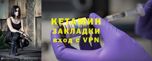 твердый Ельня