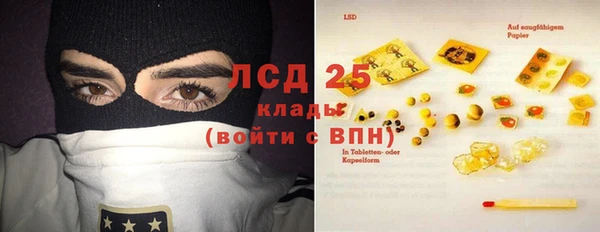 твердый Ельня