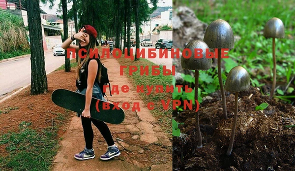 ECSTASY Елабуга