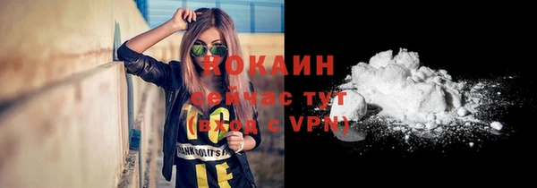 твердый Ельня