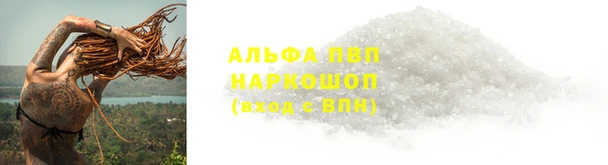 ECSTASY Елабуга
