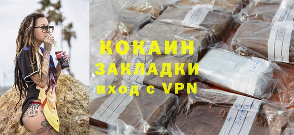 твердый Ельня