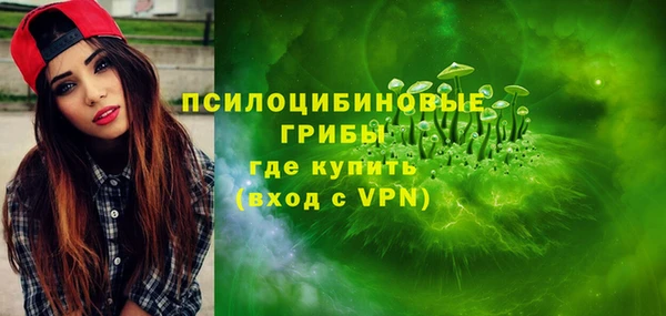 твердый Ельня