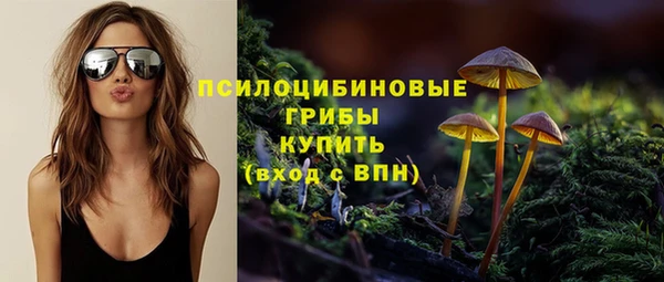 твердый Ельня