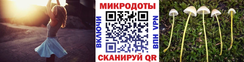 Галлюциногенные грибы GOLDEN TEACHER  Купить закладки  Канск 